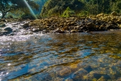 IIP Online Student Photography