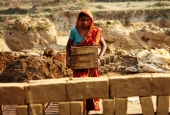 IIP Online Student Photography