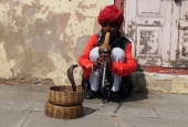 IIP Online Student Photography