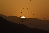 IIP Online Student Photography