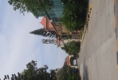 IIP Online Student Photography