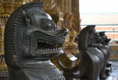 IIP Online Student Photography