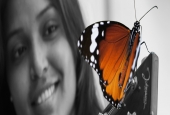 IIP Online Student Photography