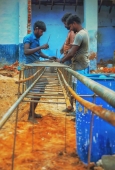 IIP Online Student Photography