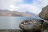 IIP Online Student Photography