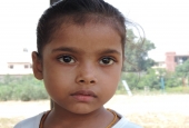 IIP Online Student Photography