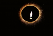 IIP Online Student Photography
