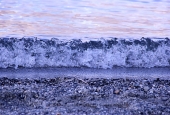 IIP Online Student Photography