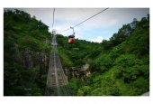 IIP Online Student Photography