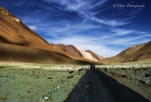 IIP Online Student Photography