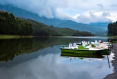 IIP Online Student Photography