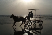 IIP Online Student Photography