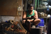 IIP Online Student Photography