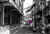 IIP Online Student Photography