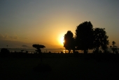 IIP Online Student Photography