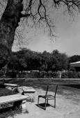 IIP Online Student Photography