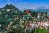 IIP Online Student Photography