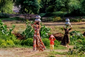 IIP Online Student Photography