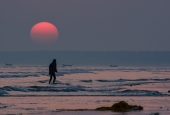 IIP Online Student Photography
