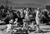 IIP Online Student Photography