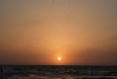 IIP Online Student Photography
