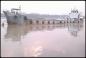IIP Online Student Photography