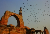 IIP Online Student Photography