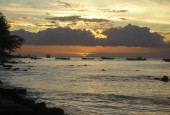IIP Online Student Photography