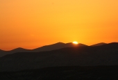IIP Online Student Photography