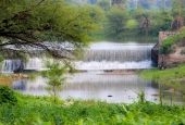 IIP Online Student Photography