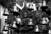 IIP Online Student Photography