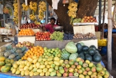 IIP Online Student Photography