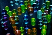 IIP Online Student Photography