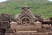IIP Online Student Photography