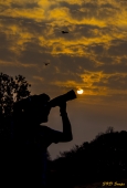 IIP Online Student Photography