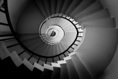 IIP Online Student Photography