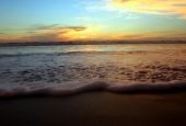 IIP Online Student Photography