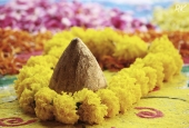 IIP Online Student Photography