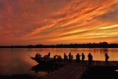 IIP Online Student Photography