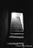 IIP Online Student Photography