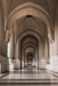 IIP Online Student Photography
