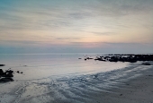 IIP Online Student Photography