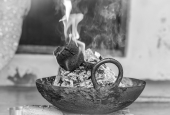 IIP Online Student Photography