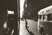 IIP Online Student Photography