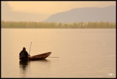 IIP Online Student Photography
