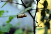 IIP Online Student Photography