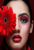 IIP Online Student Photography