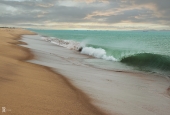 IIP Online Student Photography