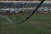 IIP Online Student Photography