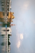 IIP Online Student Photography